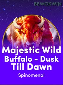 Majestic Wild Buffalo   Dusk Till Dawn